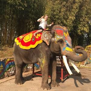 Meet your Posher, Ireeddi